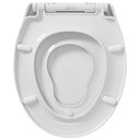 4008912500058_tiger_toiletseats_imit_tulsa_background(1)