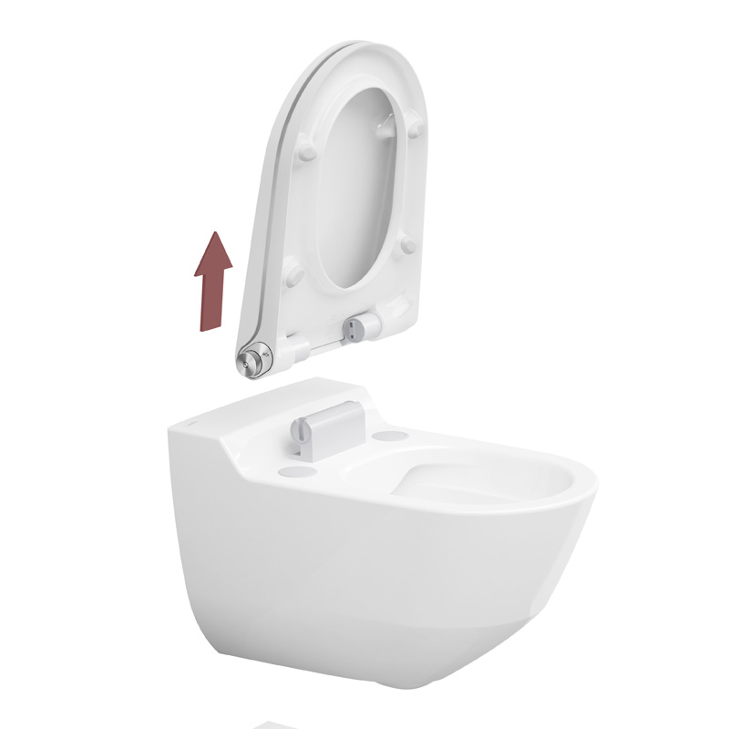 laufen-cleanet-riva-toilet-seat-with-lid-white--la-h8916910000001_1