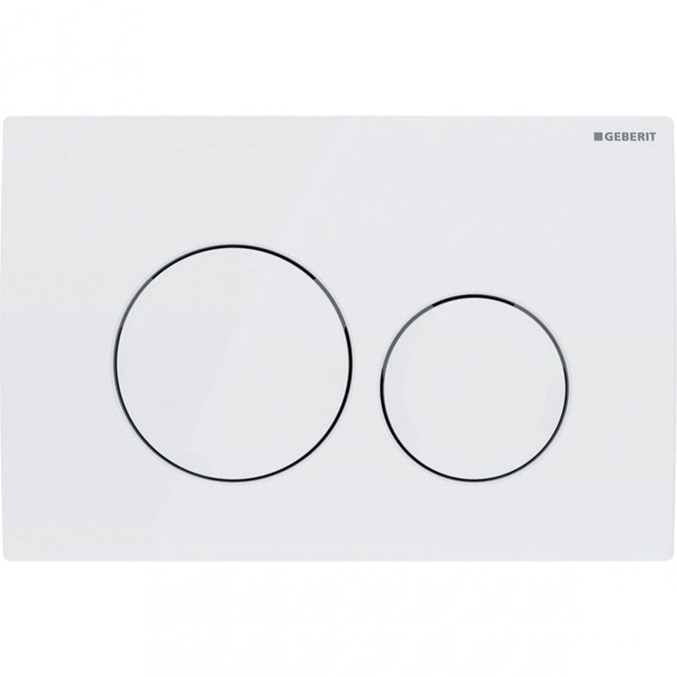 geberit-acanto-wc-puodas-su-letai-uzsidaranciu-ir-greito-nuemimo-dangciu-duofixbasic-potinkiniu-remu-bei-baltos-spalvos-delta20-1