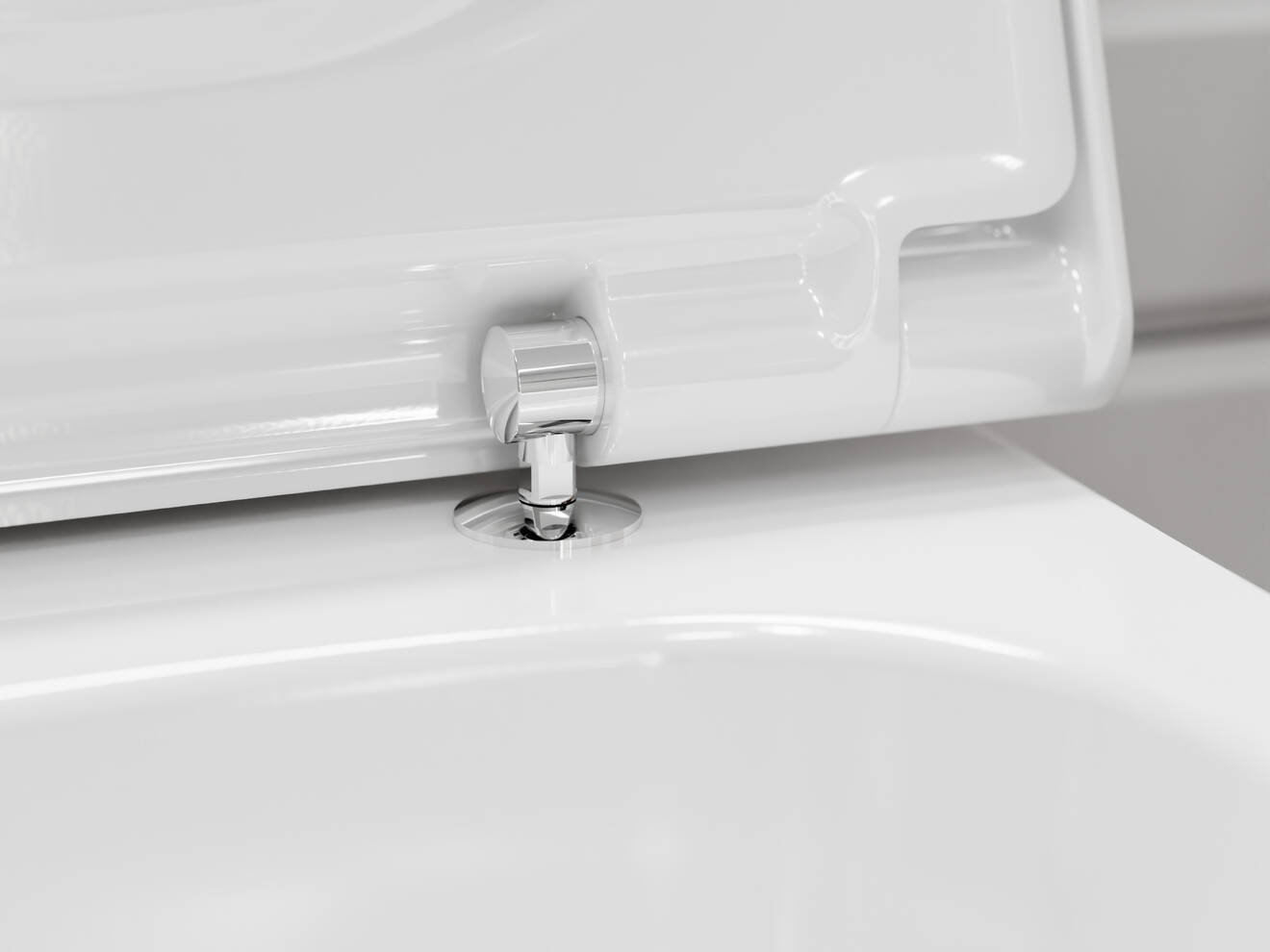 153__web-picture-QuickRelease-Toilet-Seat_tif.jpg