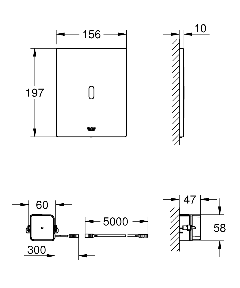 2165907.jpg